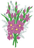 Bouquet of lilac gladioluses