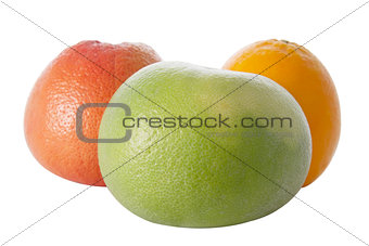 grapefruit, orange, and sweetie