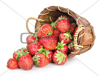 Strawberries and basket