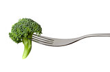 raw broccoli on a fork