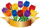 Colorful Tulips with Gold Banner Illustration