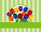 Colorful Tulips Greeting Card Illustration