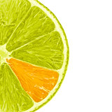 Orange Lemon Slice
