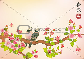 sakura ,bird , spring , postcard .