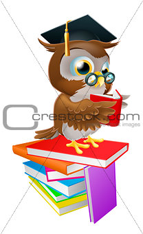 Wise owl reading