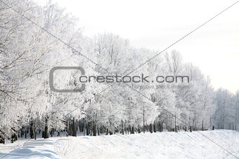 Walking embankment in Russian winter
