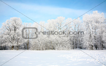 Russian winter in January