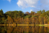 reflection of autumn forest in lake