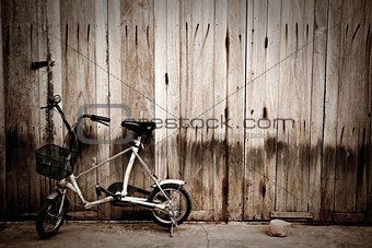 little bicycle 