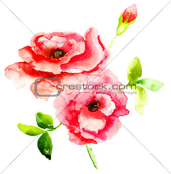 Red Roses flowers