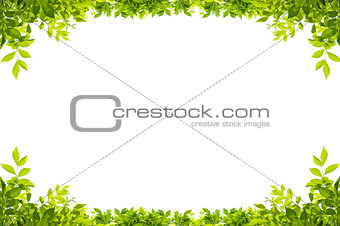 leaves frame isolated on white background