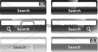 Several types of search bar design
