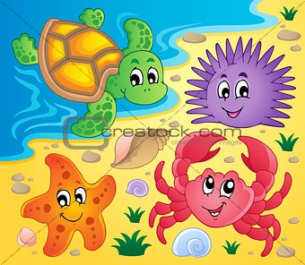 Beach with shells and sea animals 3