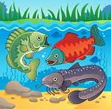 Freshwater fish theme image 3