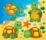 Image with turtle theme 2