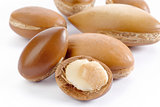 seeds of argan on white,a close up