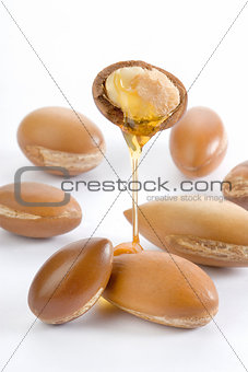 seeds of argan on white,a close up