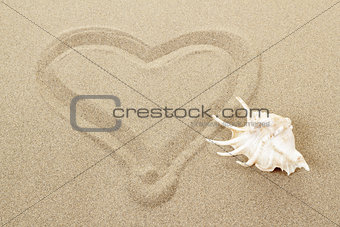 handwritten heart on sand with seashell