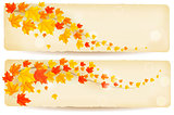 autumn banners with colorful leaves. Vector.