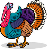 turkey farm bird animal cartoon illustration