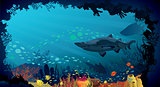Underwater life - Coral reef with sharks and fish