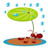 Red ants protect illustration