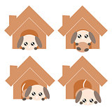 Cartoon dog in house illustration