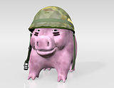 pink piggy is ready to war