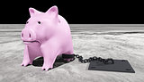 pink piggy is chained