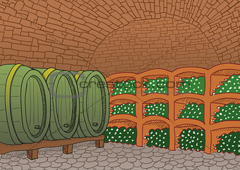 Wine Cellar Illustration