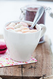 Hot chocolate with marshmallows and macaroon