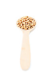 Mustard seeds in a wooden spoon