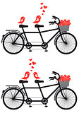 tandem bicycle with love birds, vector