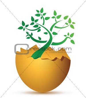 broken egg with the ecological tree