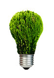 Lamp made of green plants. Ecology conception