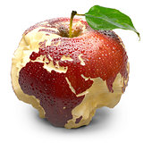 Apple with carved continents. Europe and Africa