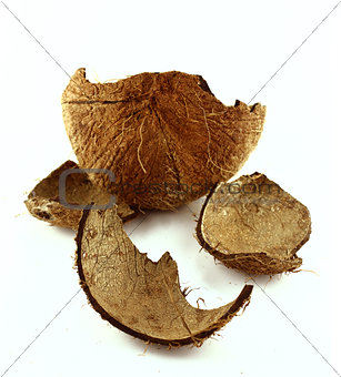 coconut shell 