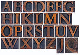 isolated alphabet in wood type