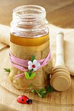Natural organic flower honey in the pot