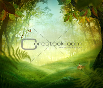 Spring design - Forest meadow
