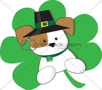 Irish Puppy