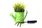  gardening tools and grass