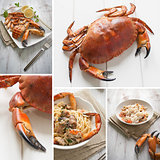Crab composition