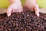 Woman grabbing a handful of roasted coffee beans