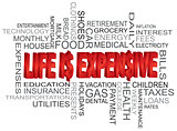 Life is Expensive Word Cloud