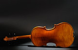 Violin rear view
