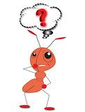 Ant With Question