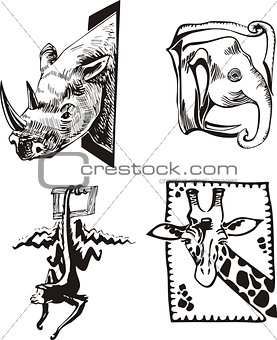 Sketches of African wild animals