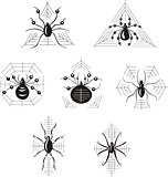 Dingbats with spiders