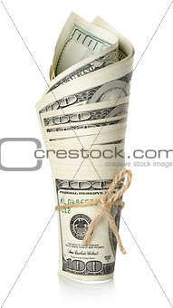 Roll of money isolated